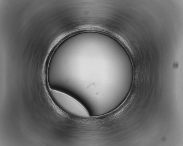 X0000101141082200806270731
