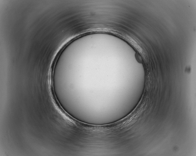 X0000101141084200806270731