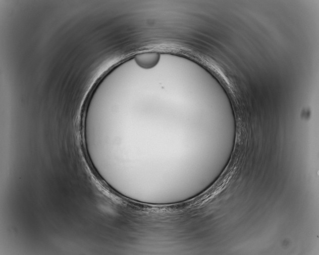 X0000101141087200806270731