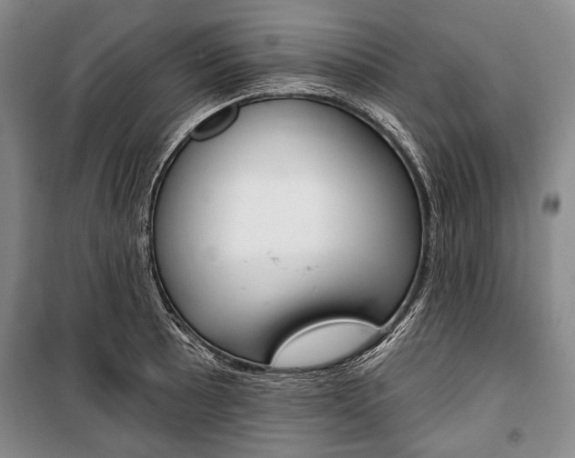 X0000101141089200806270731