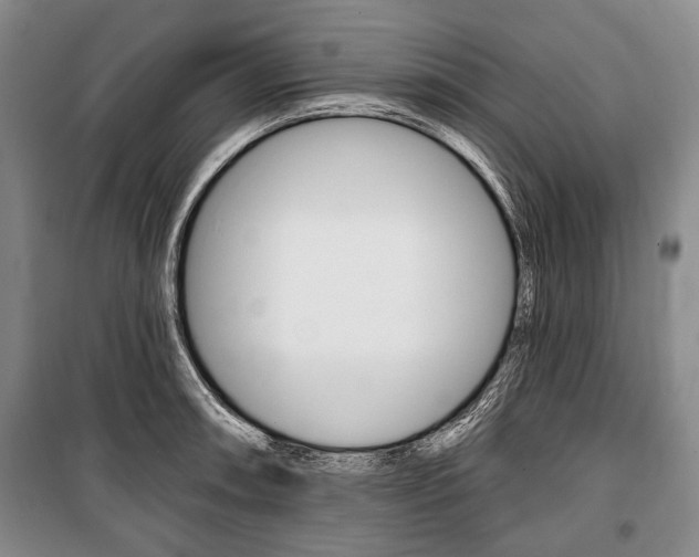 X0000101141090200806270731