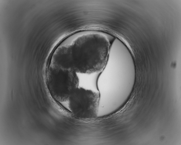 X0000101141091200806270731