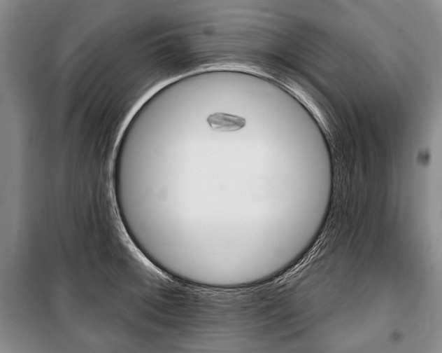 X0000101141092200806270731