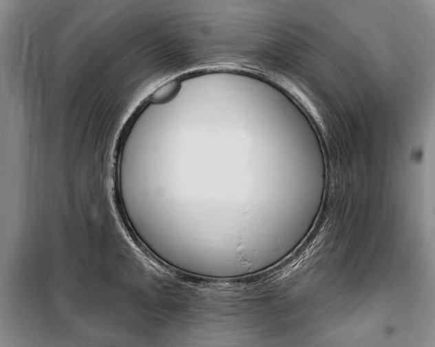X0000101141093200806270731