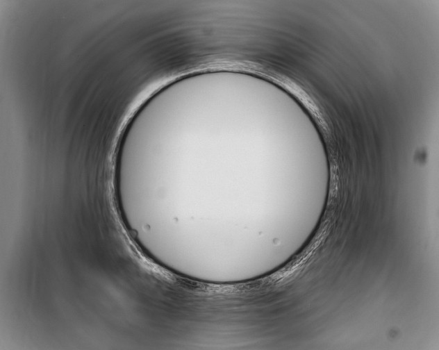 X0000101141094200806270731