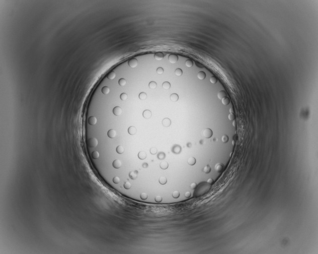 X0000101141095200806270731