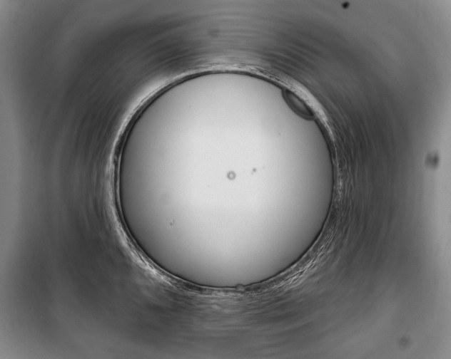 X0000101141096200806270731