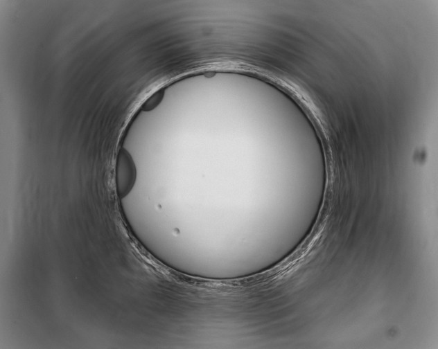 X0000101141097200806270731