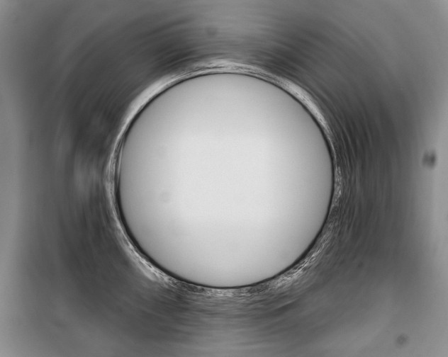 X0000101141098200806270731