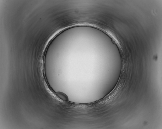 X0000101141100200806270730