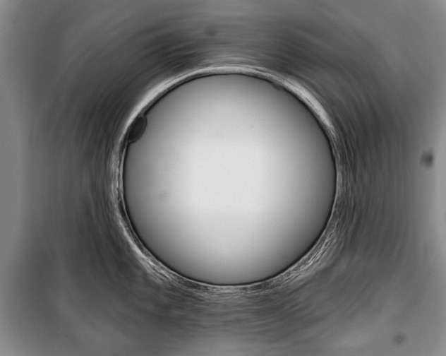 X0000101141101200806270730