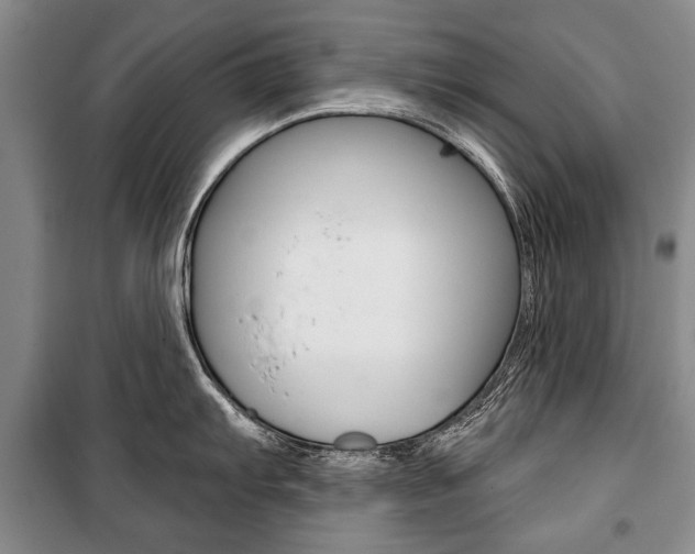 X0000101141103200806270730