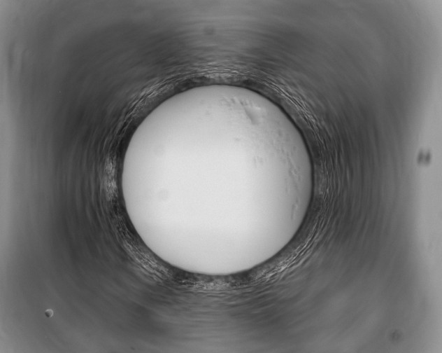 X0000101141106200806270730