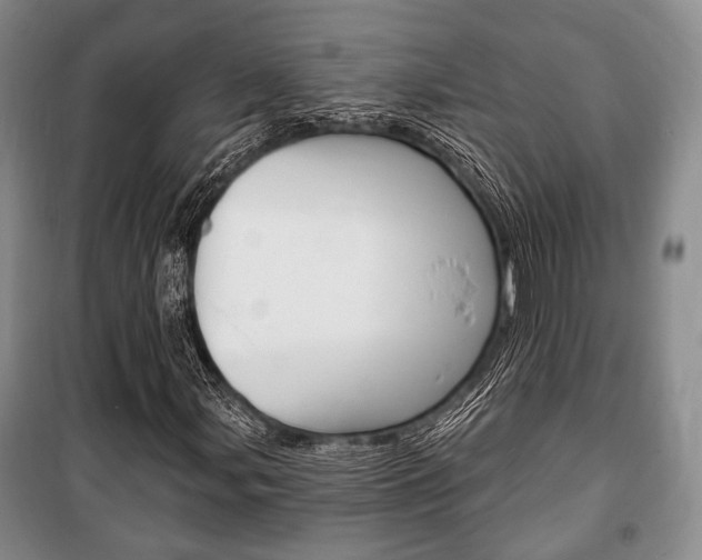 X0000101141107200806270730