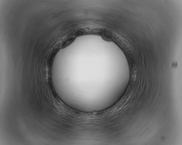 X0000101141108200806270730
