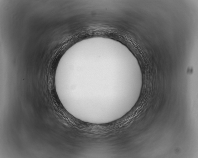 X0000101141109200806270730