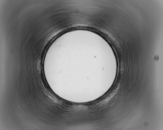 X0000101141113200806270730