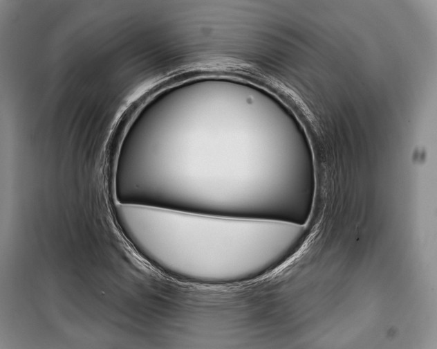 X0000101141114200806270730