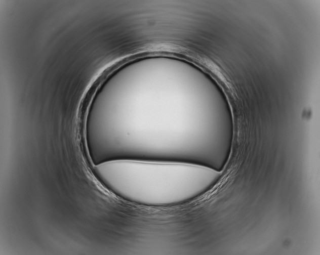 X0000101141116200806270730
