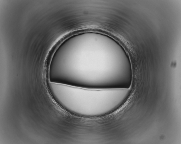 X0000101141118200806270730