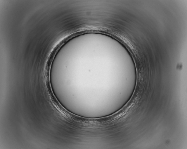 X0000101141119200806270730