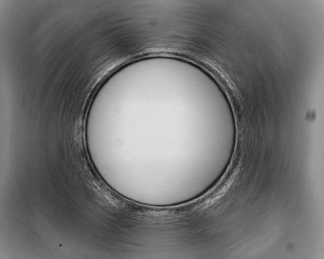 X0000101141121200806270730