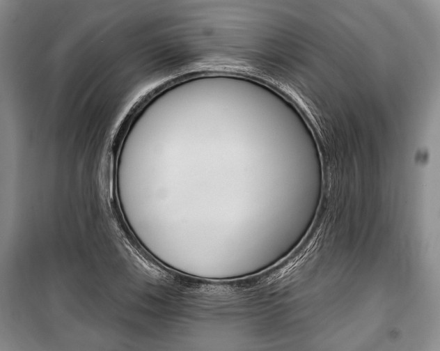 X0000101141123200806270730