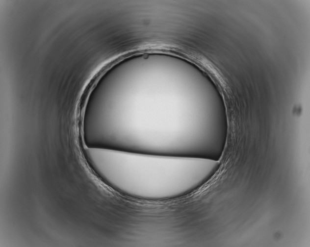 X0000101141124200806270730