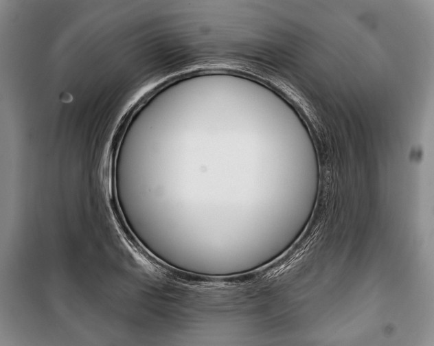 X0000101141127200806270730