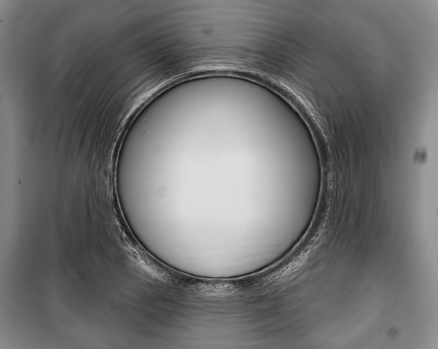 X0000101141129200806270730
