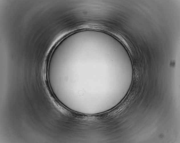 X0000101141131200806270730