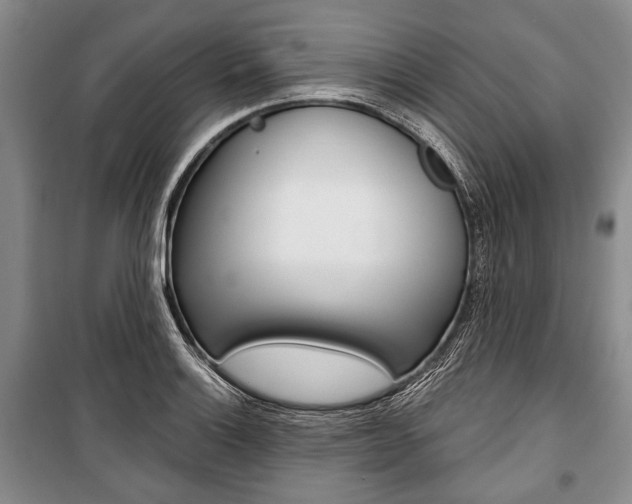 X0000101141132200806270730