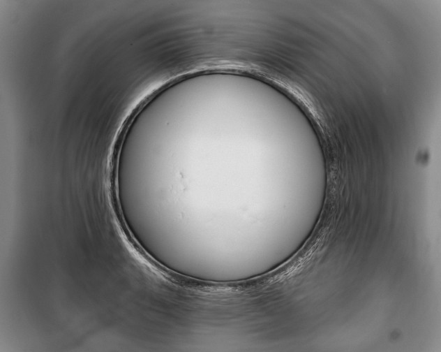 X0000101141135200806270730