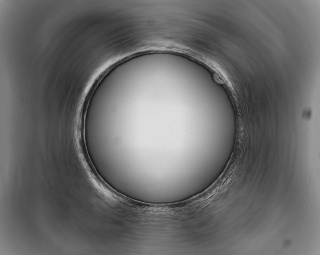 X0000101141136200806270730