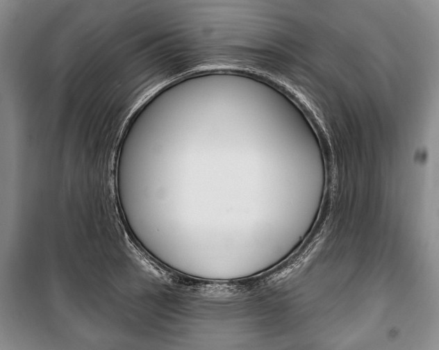 X0000101141137200806270730