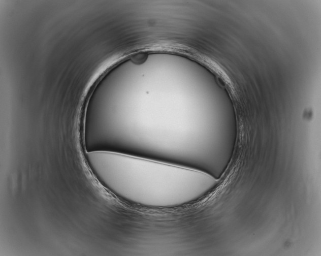X0000101141138200806270730