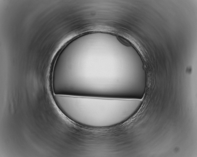 X0000101141139200806270730