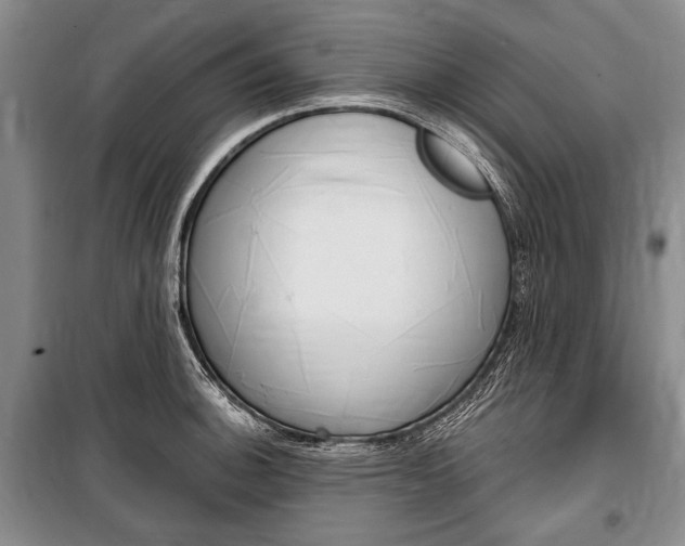 X0000101141140200806270730