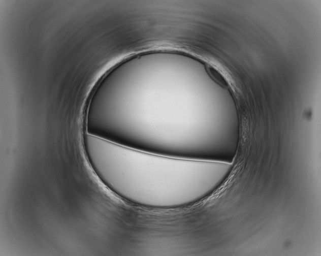X0000101141142200806270730
