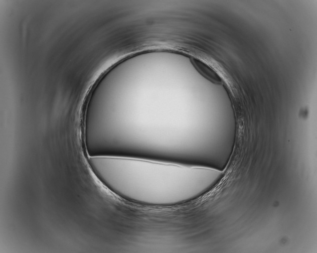 X0000101141143200806270730