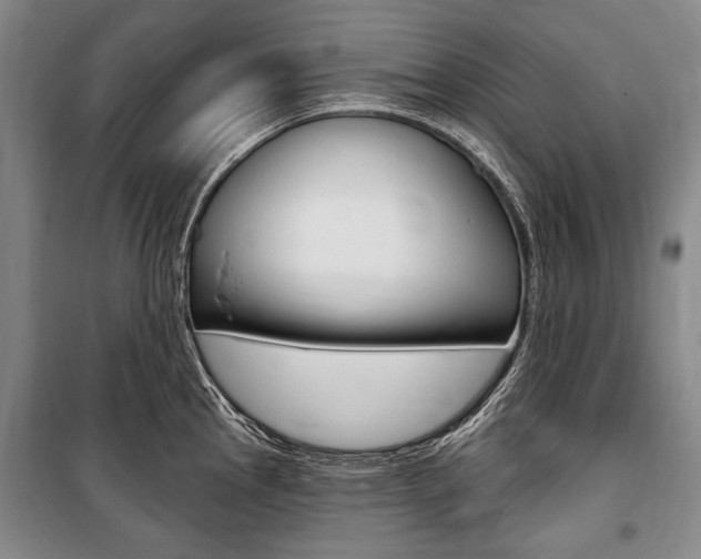 X0000101141145200806270730