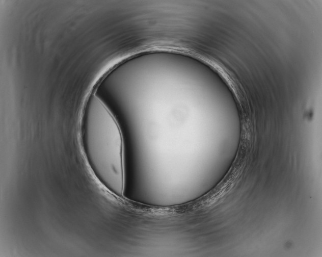 X0000101141147200806270730