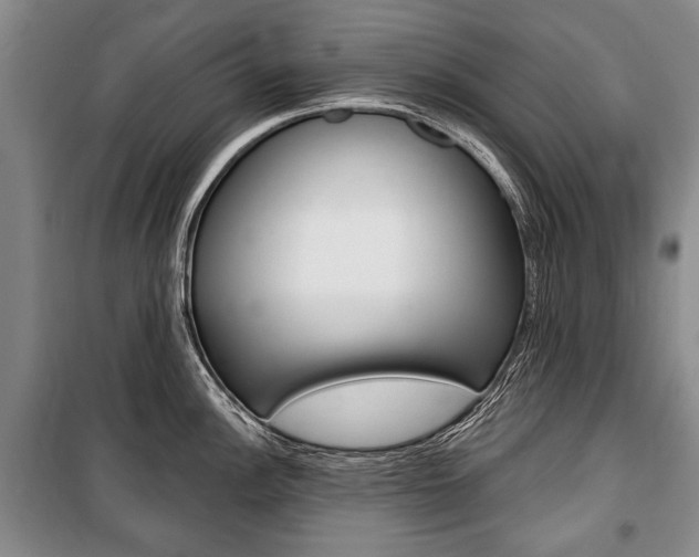 X0000101141148200806270730