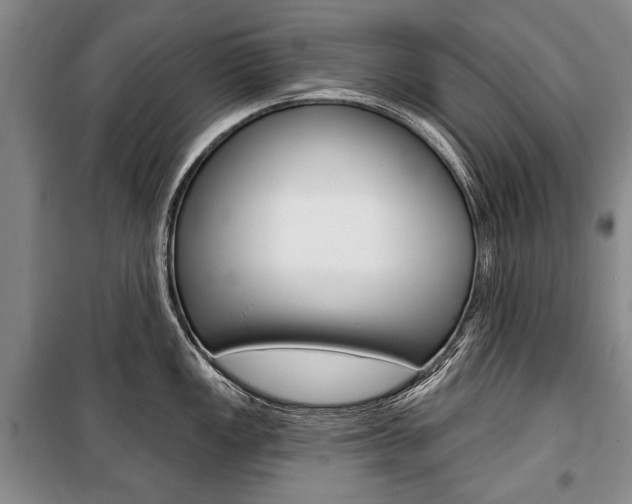 X0000101141149200806270730