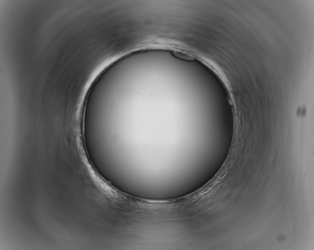 X0000101141152200806270730