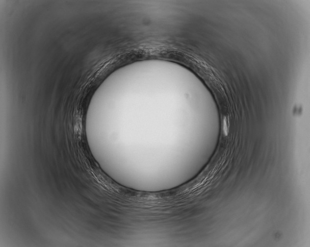 X0000101141155200806270730