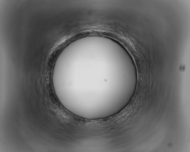 X0000101141159200806270730