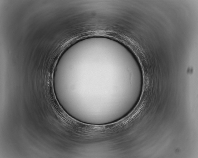 X0000101141161200806270730