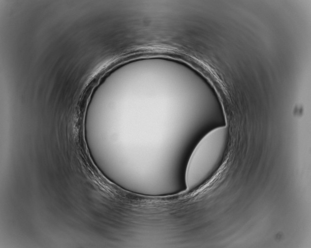 X0000101141163200806270730