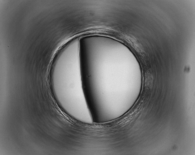 X0000101141164200806270730